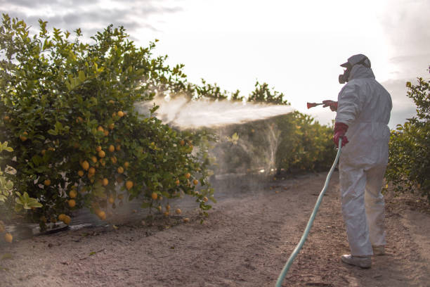 Best Pest Inspection Near Me  in Ocilla, GA