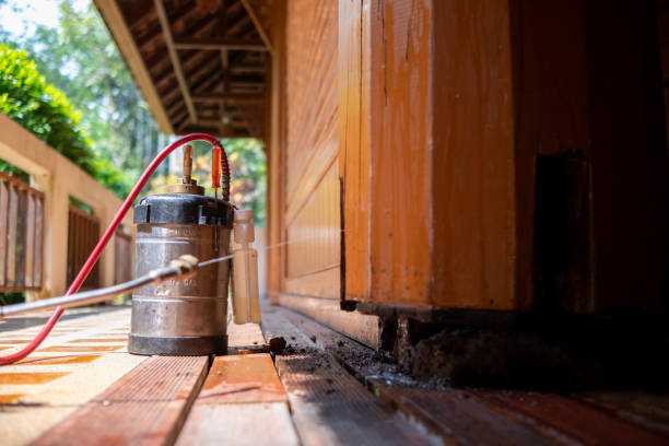 Best Cockroach Control Services  in Ocilla, GA