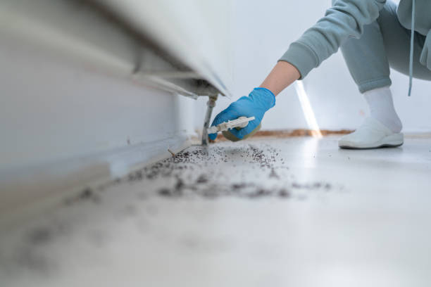 Best Affordable Pest Control Services  in Ocilla, GA